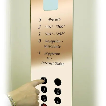 New Automatic Daniela 圣巴特罗摩艾美尔