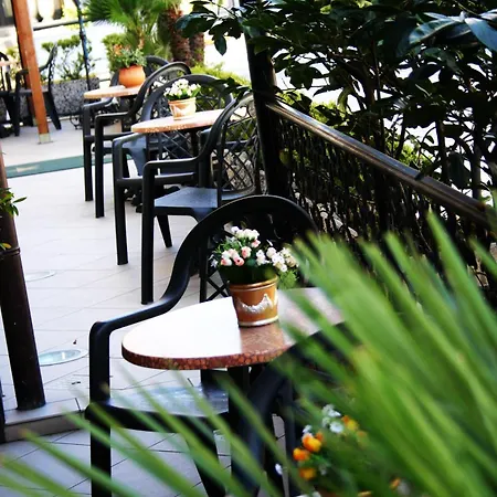 New Automatic Daniela 圣巴特罗摩艾美尔